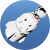 rocket